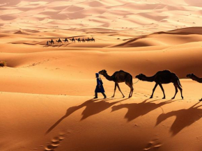 Alibaba Desert Camp